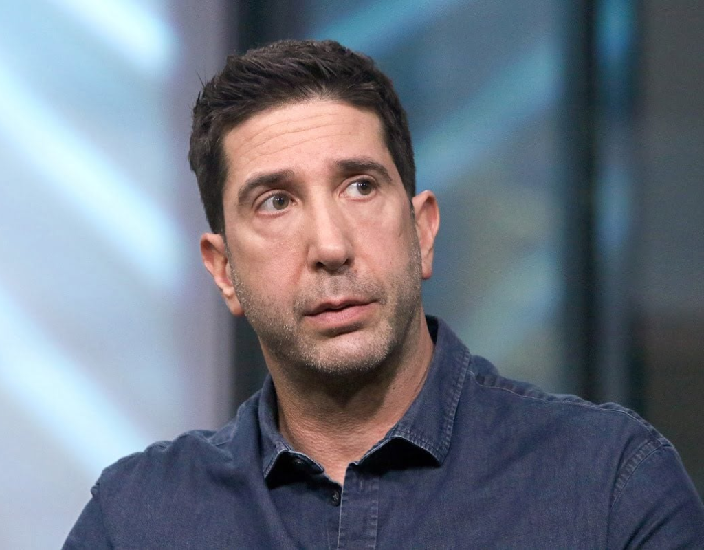 David Schwimmer Nose Job