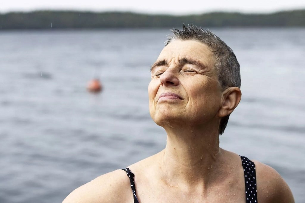 Bitte Westerlund Wikipedia