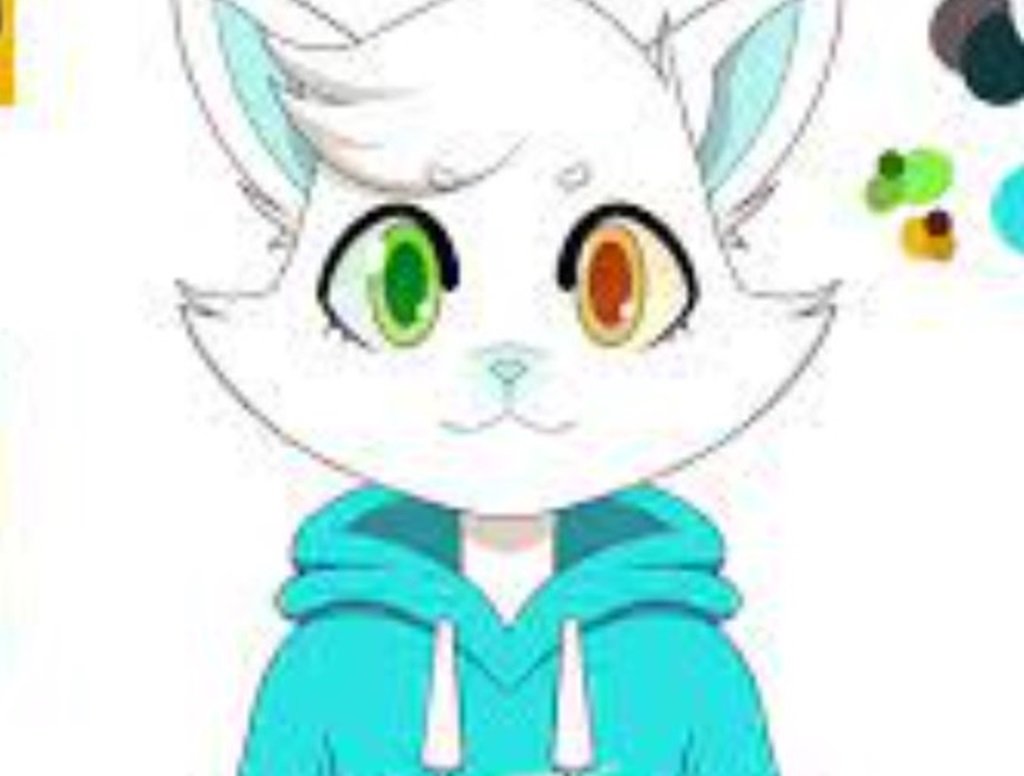 Mysticat Face Reveal