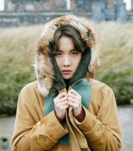 Seven Things to Know About BTS J-Hope: Mr. Sunshine | TV Show Stars