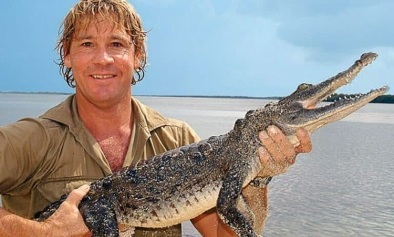 Como Murio Steve Irwin Autopsy: How Did Australian Zookeeper Die?