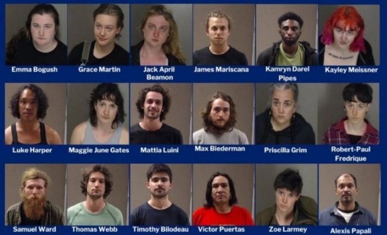 Who Is Alexis Papalii? Is Arrested For Domestic Terrorism