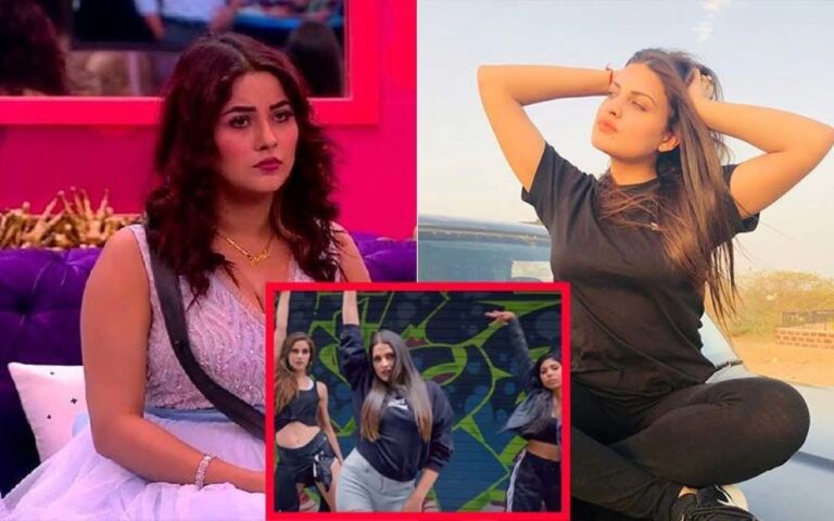 Himanshi Khurana And Shehnaz Gill Controversy Explained: What Did She Say?