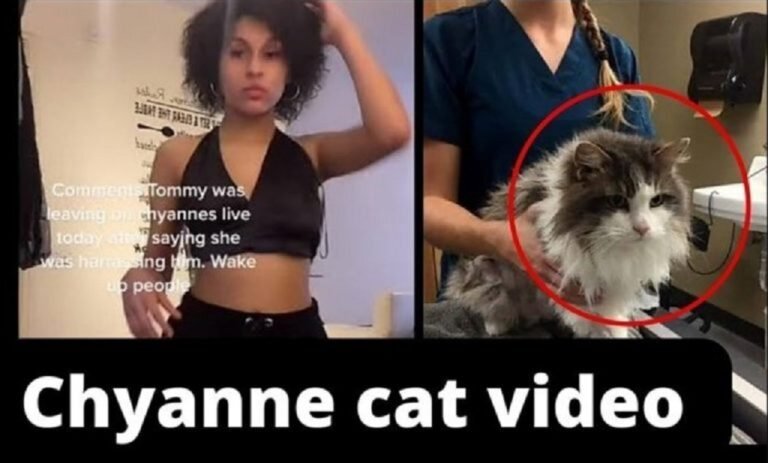 Chyanne Tiktok Cat Video- Why Is It Viral On Internet?