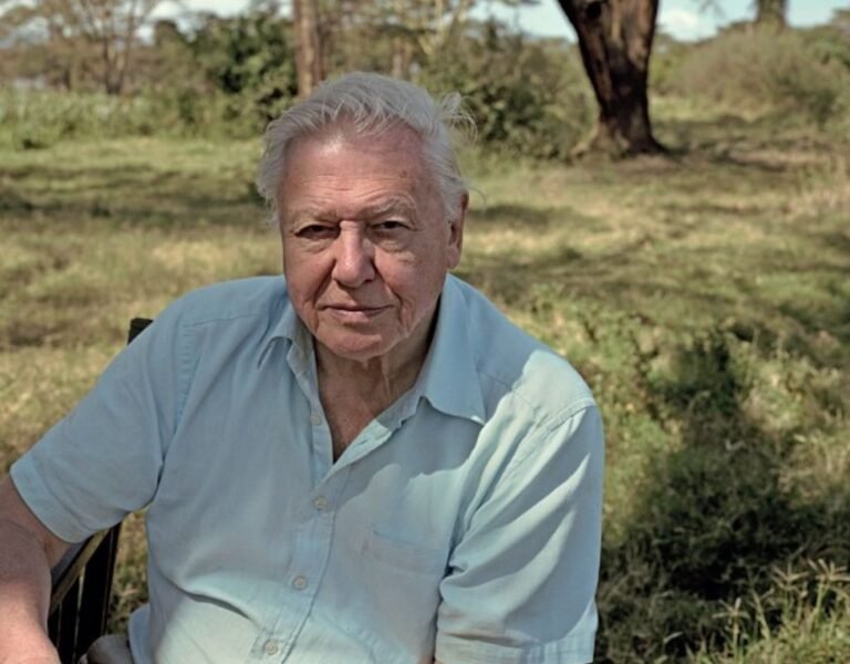 Is David Attenborough Christian? Religion And Origin