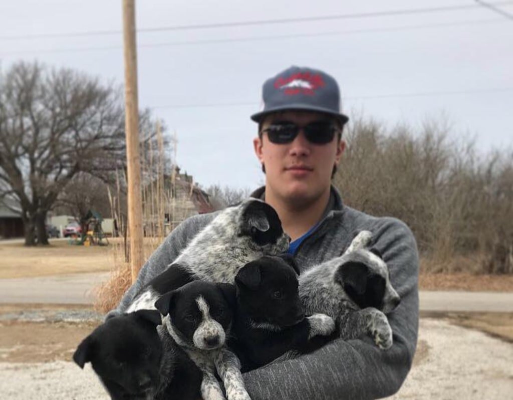 Seth Henenberg Obituary